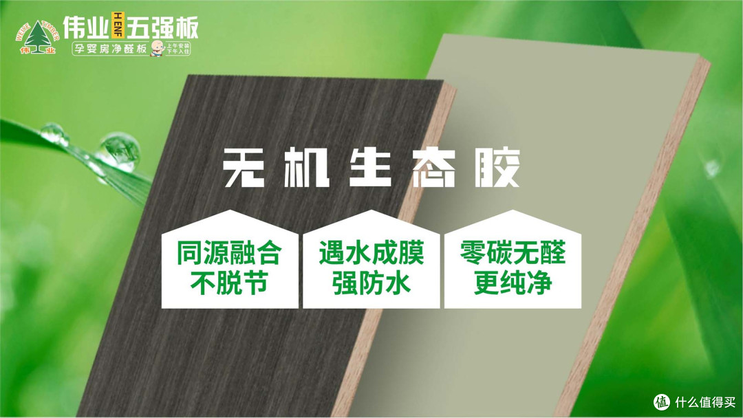 矿物赋能，5维守护！伟业五强板以无机生态胶，颠覆家装安全认知