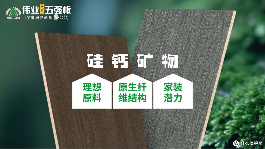 矿物赋能，5维守护！伟业五强板以无机生态胶，颠覆家装安全认知