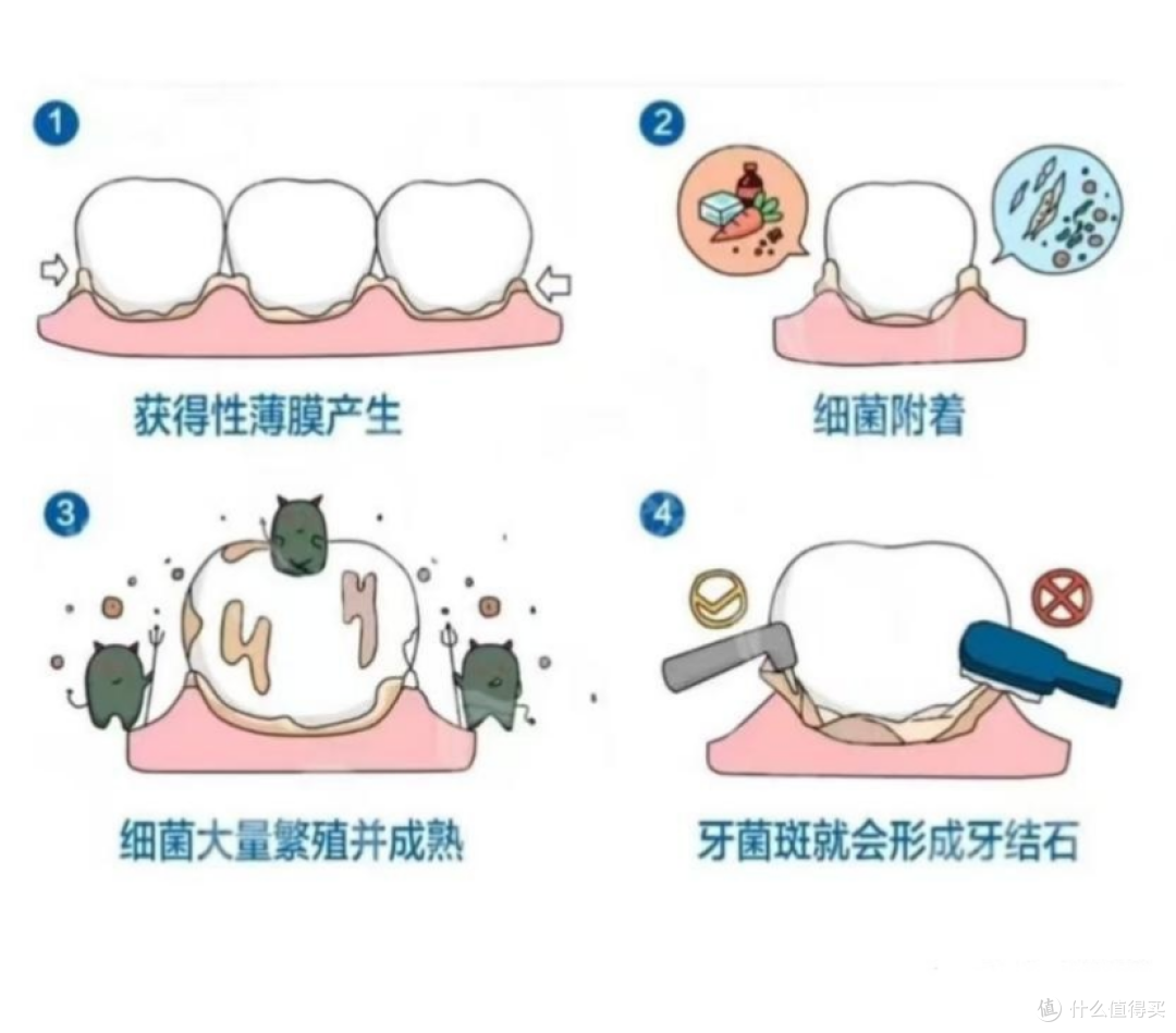 牙粉真的是智商税吗?一篇说清楚