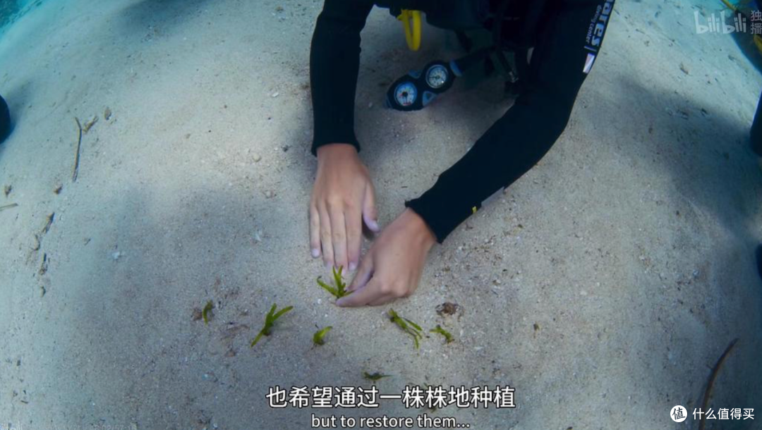 最高9.7分,零差评,这五部神作值得一看