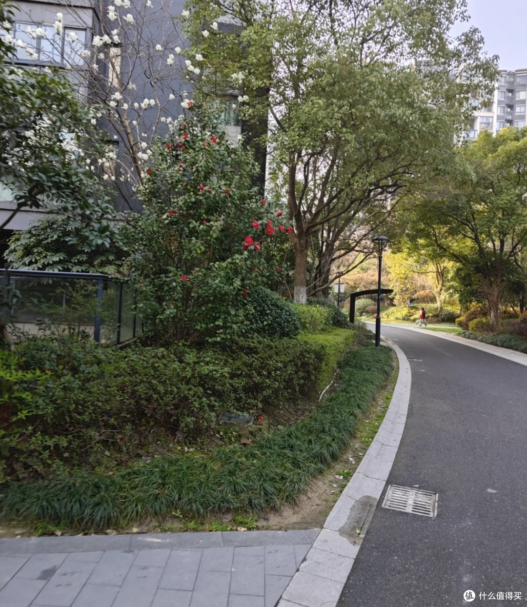 三个月晨跑:从“躺平”到瘦15斤的身心蜕变