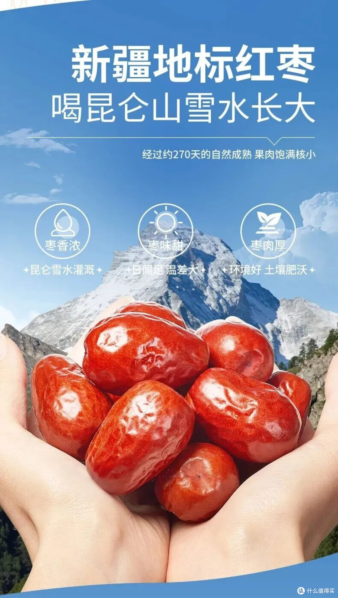 楼兰蜜语 和田骏枣