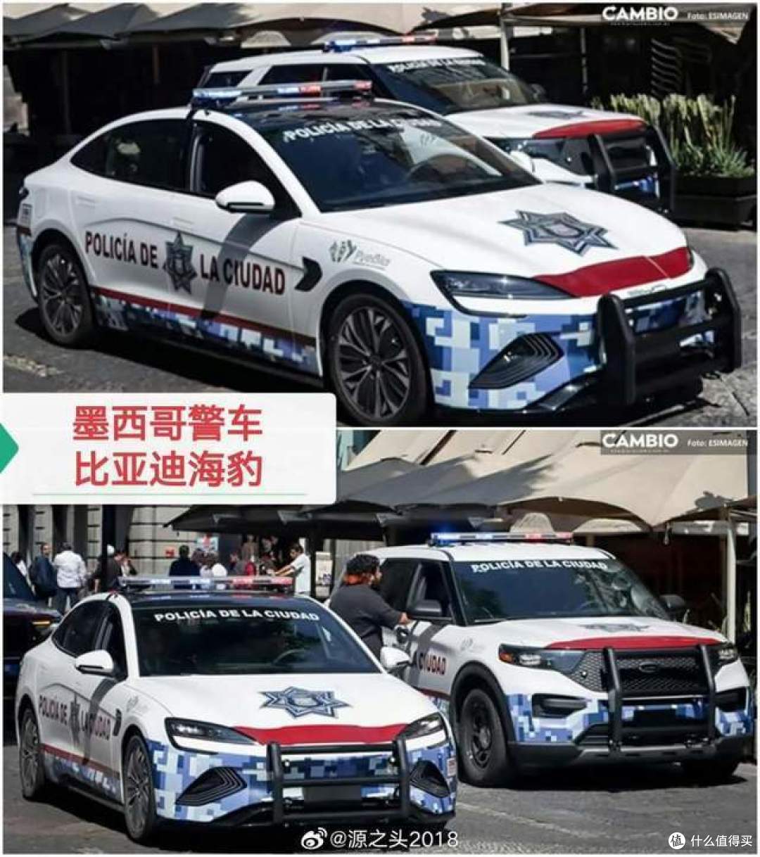 海外公务车“新标配”:比亚迪驶入多国政府车队