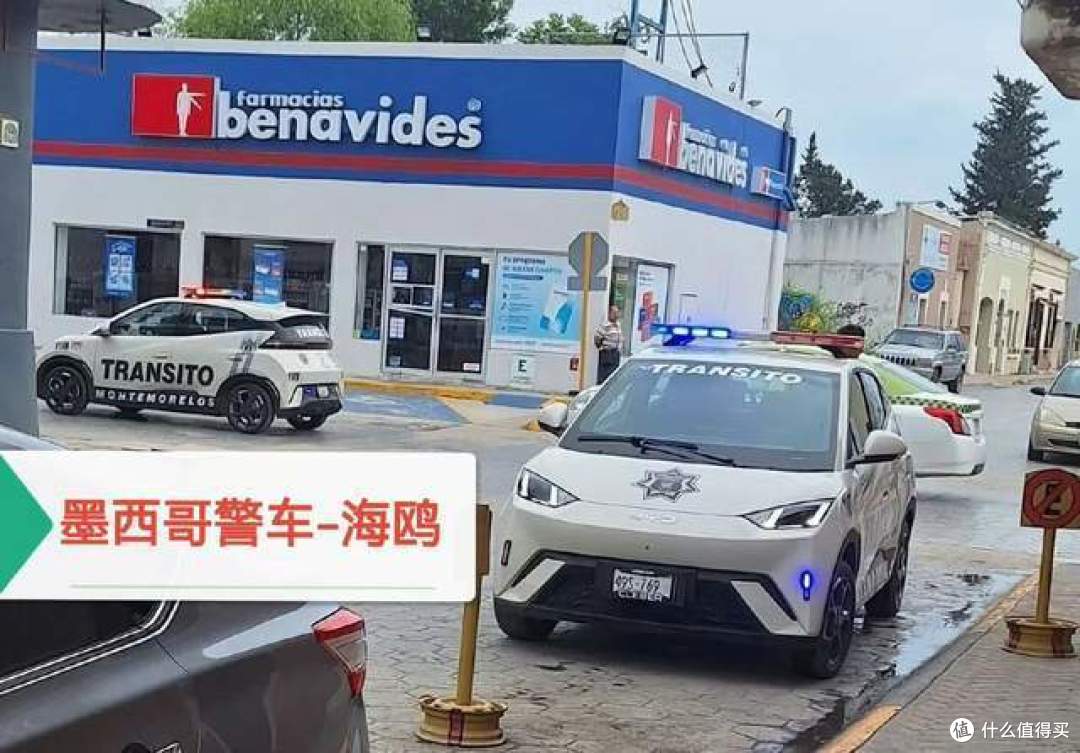 海外公务车“新标配”:比亚迪驶入多国政府车队
