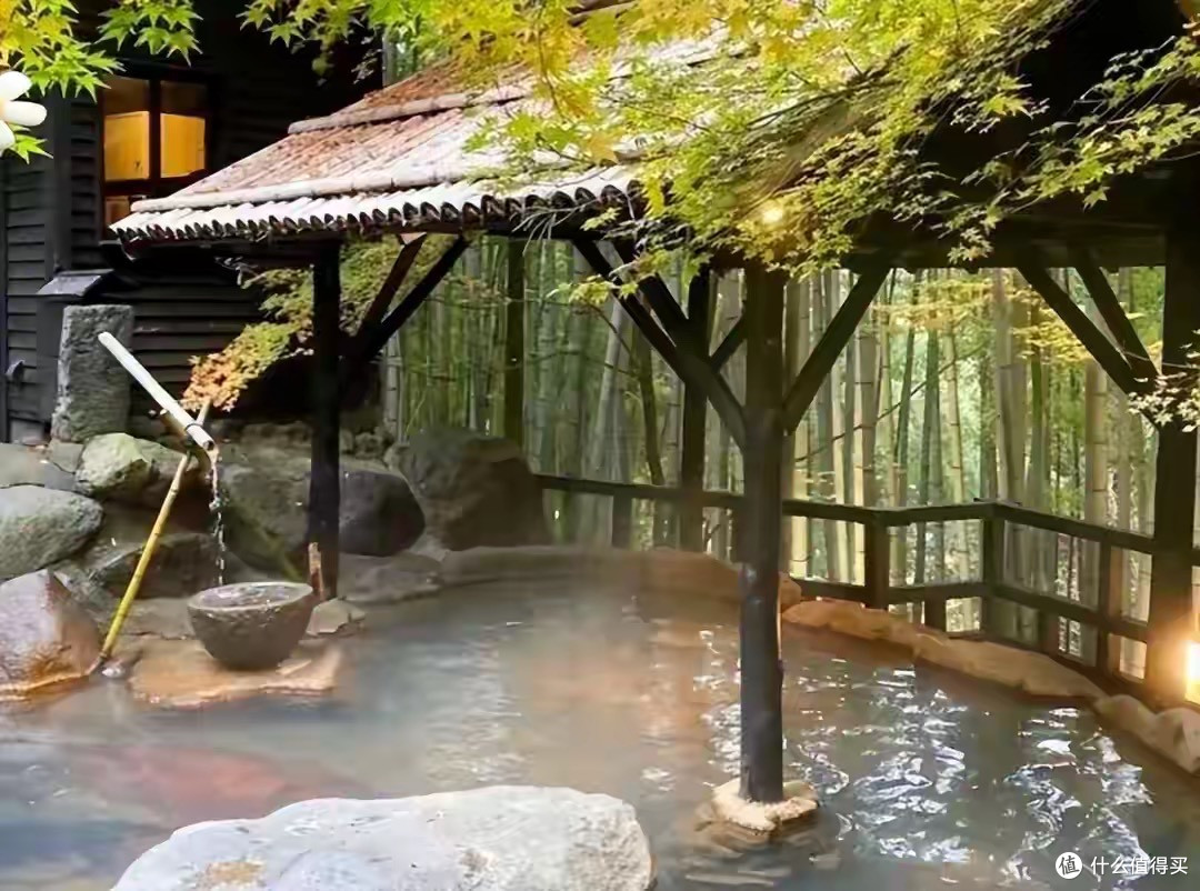 警惕“温泉病”!温泉卫生乱象触目惊心,避坑指南守护大家健康