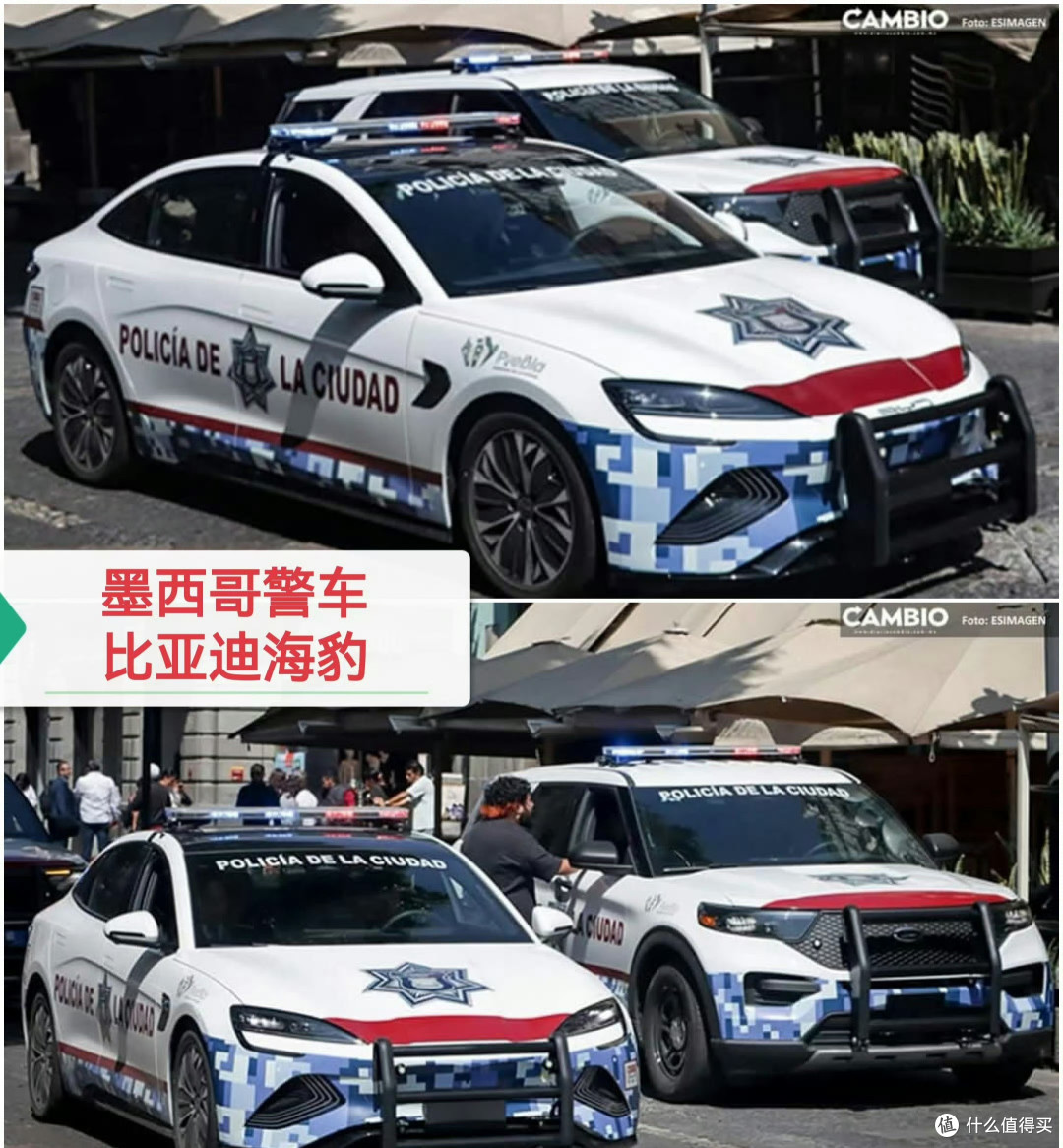 为什么是比亚迪?海外公务车绿色转型的“中国答案”