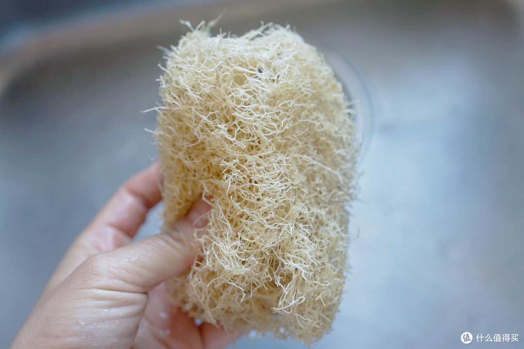 8款年度爱用厨房清洁好物分享，真的能把清洁效率和洁净度拉满！