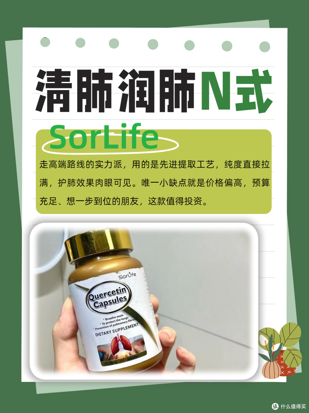 烟民救星！槲皮素选对才管用，槲皮素哪个牌子护肺效果好？
