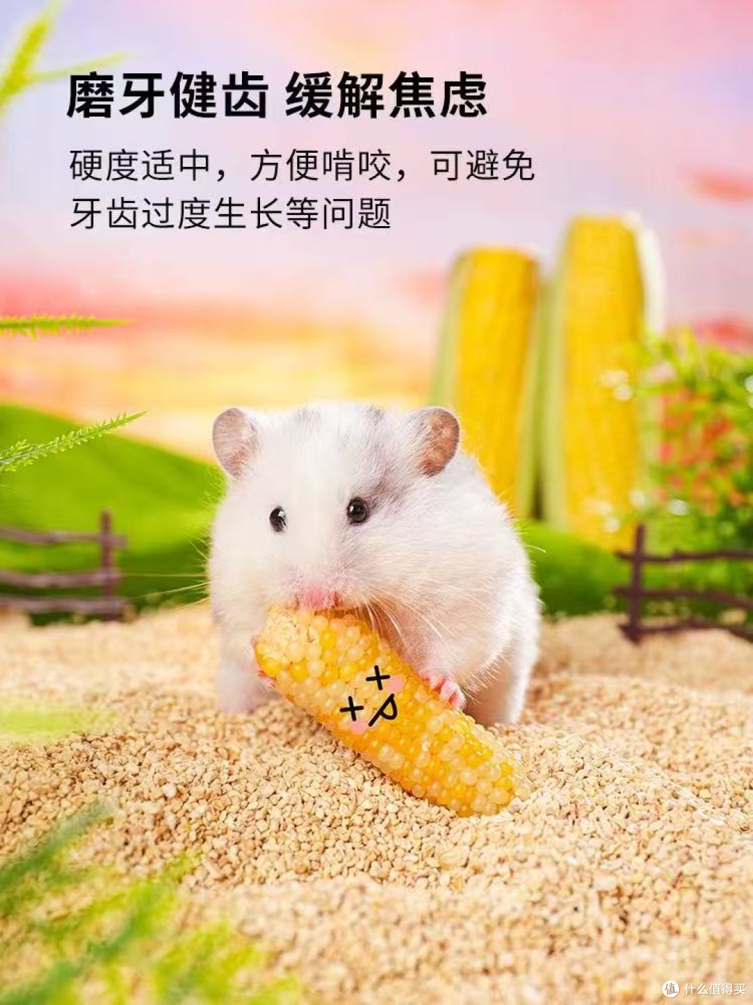 养鼠党必藏!卡诺全家桶实测|零食+造景+玩具一站搞定🐹
