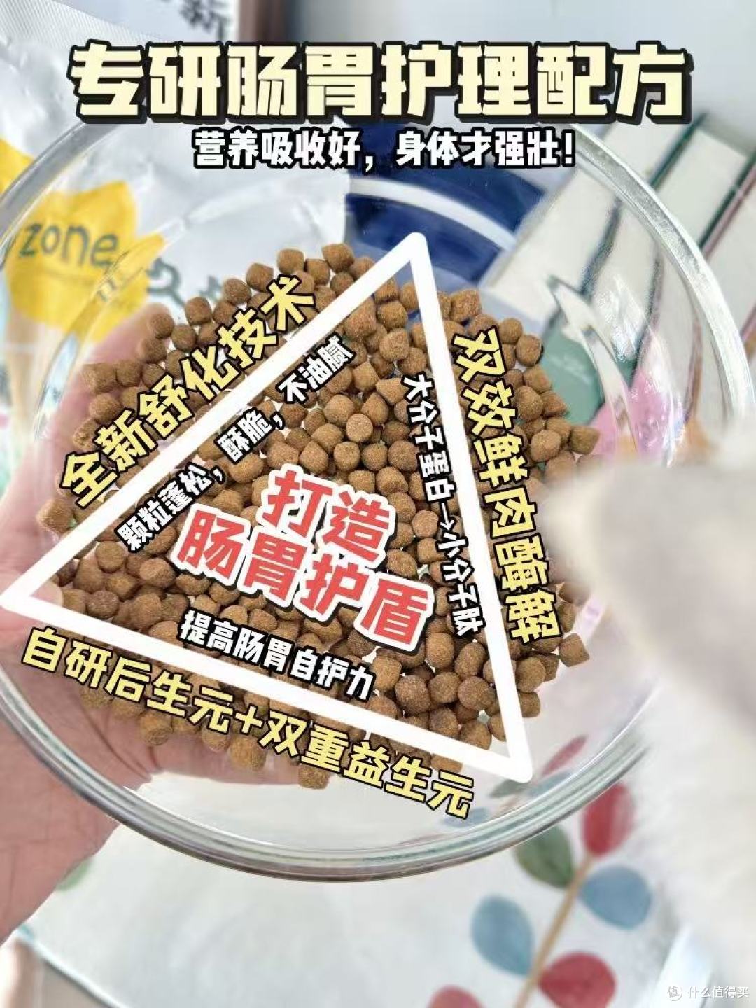 当吃粮成为健康盲盒:久生以55项全检,为猫咪重建“透明”餐桌