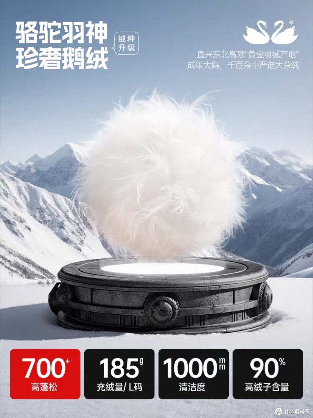 冬季运动保暖天花板!迪丽热巴同款