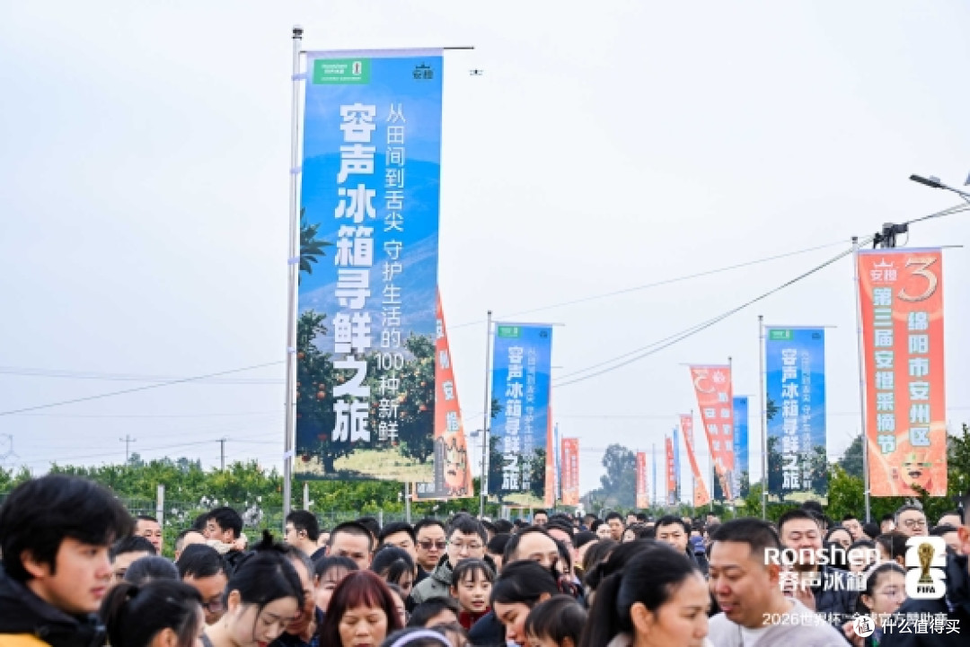 一颗果冻橙的200天风味之旅,如何被容声冰箱“养鲜”到最佳状态?