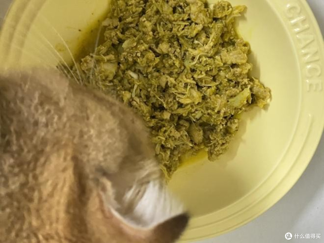 自制猫饭对肠胃敏感猫安全吗?自制猫饭低敏配方推荐呵护玻璃胃猫