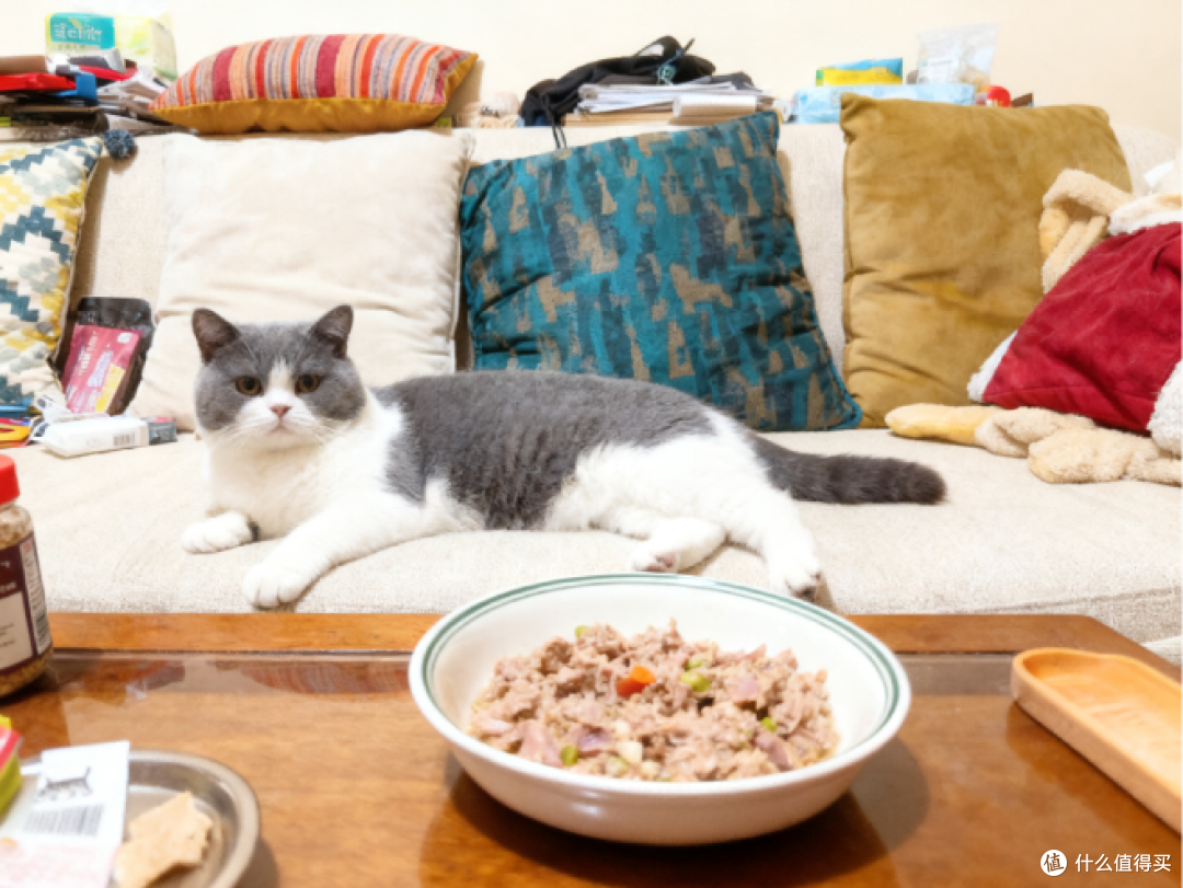 自制猫饭怎么做?自制鲜食0基础保姆级教学,看完你就能上手