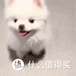 双十二十大品牌狗粮!高性价比款推荐,养狗人收藏!