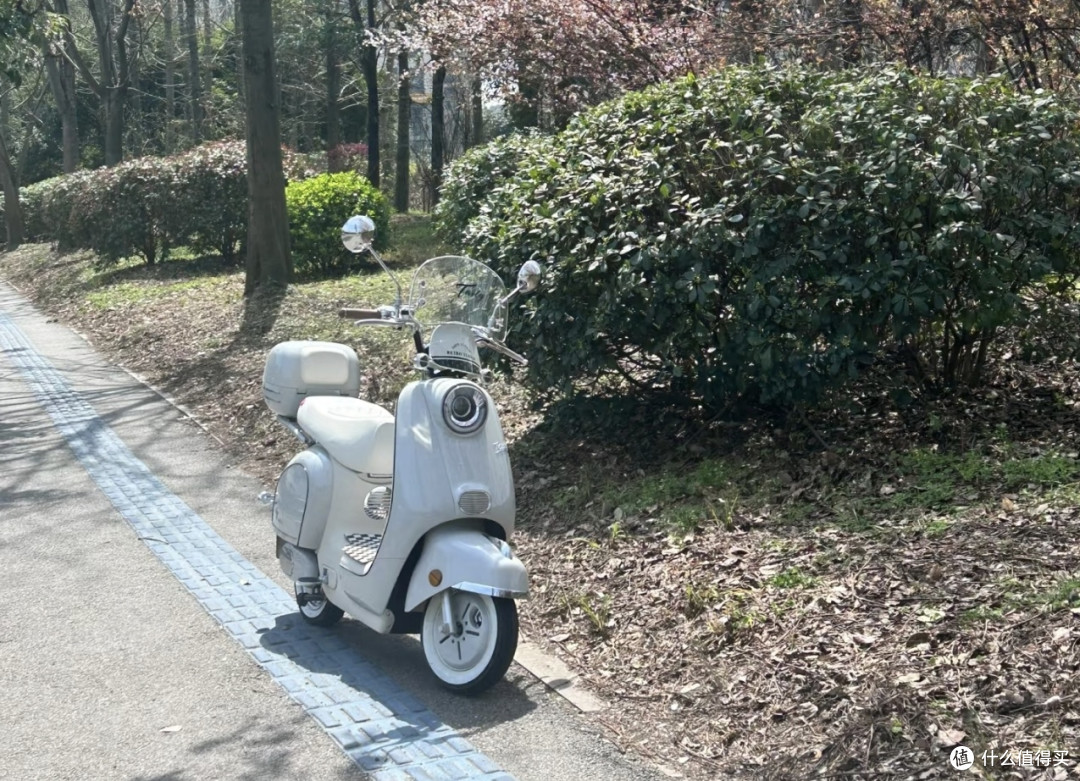 台铃米兰:颜值与槽点并存