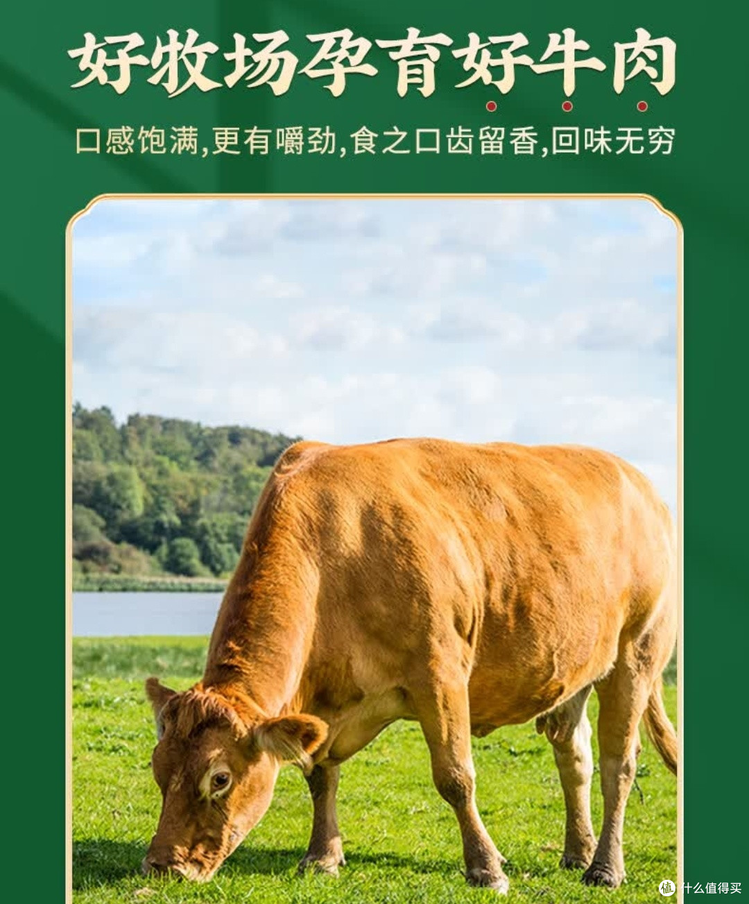 冬日肉食党狂喜!3斤内蒙古牛肉卷,涮烤煮都香到上头