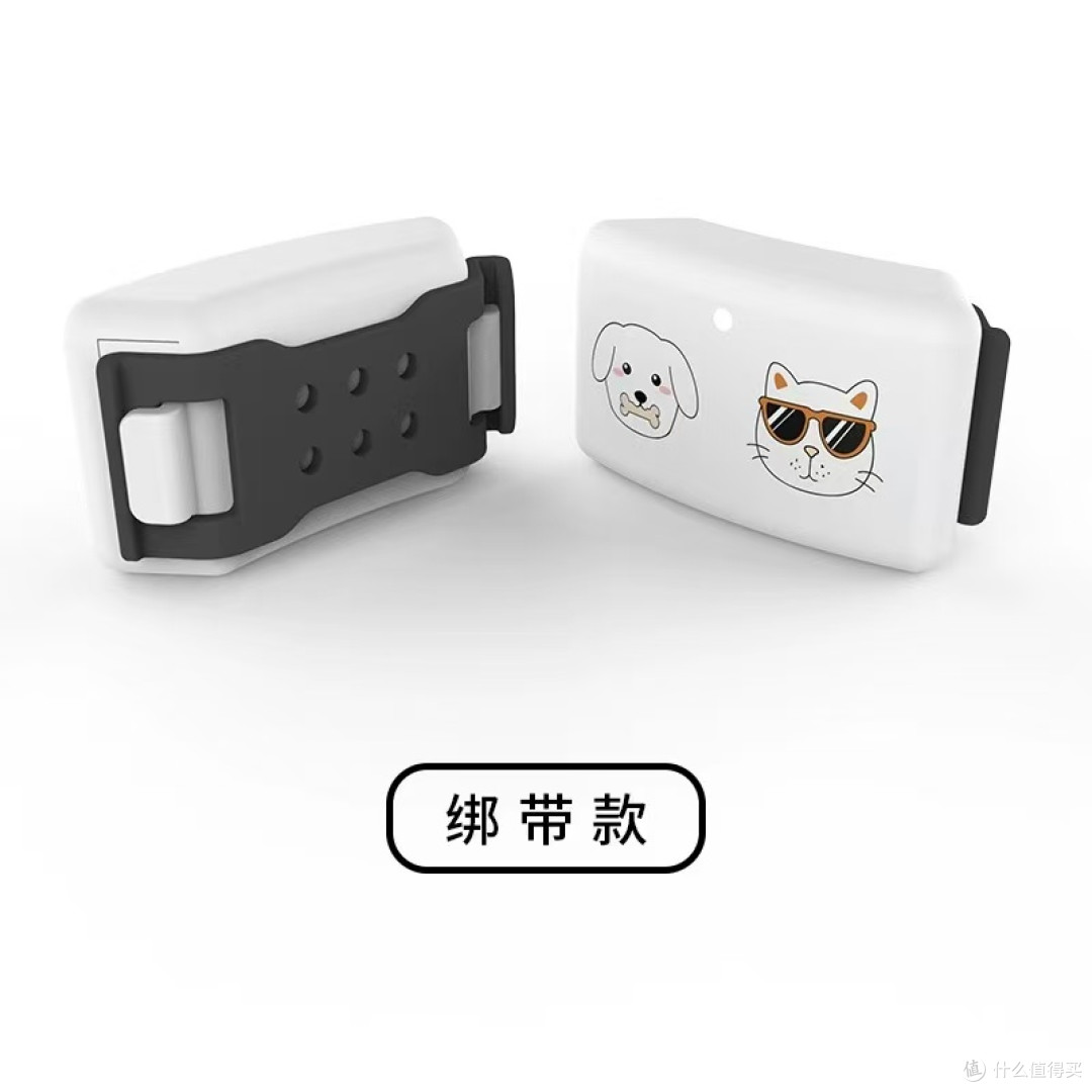 谁懂啊!养宠人最崩溃的瞬间,莫过于一转身发现毛孩子不见了😭