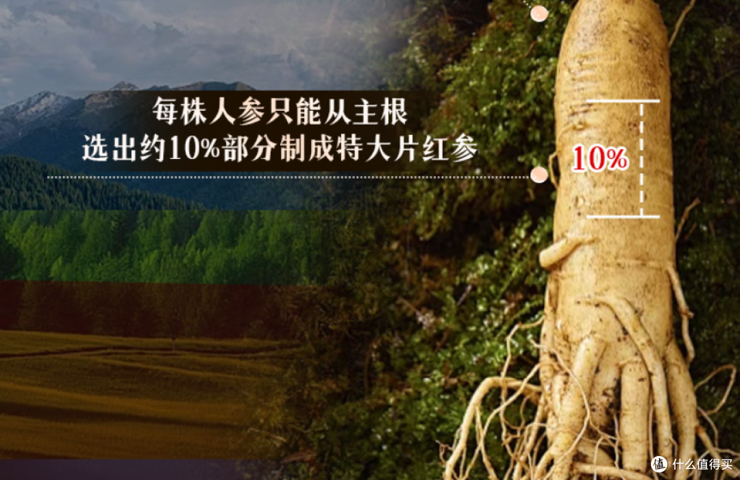 2025 十大红参深度测评:补气血 + 口感体验,解锁最佳红参选择