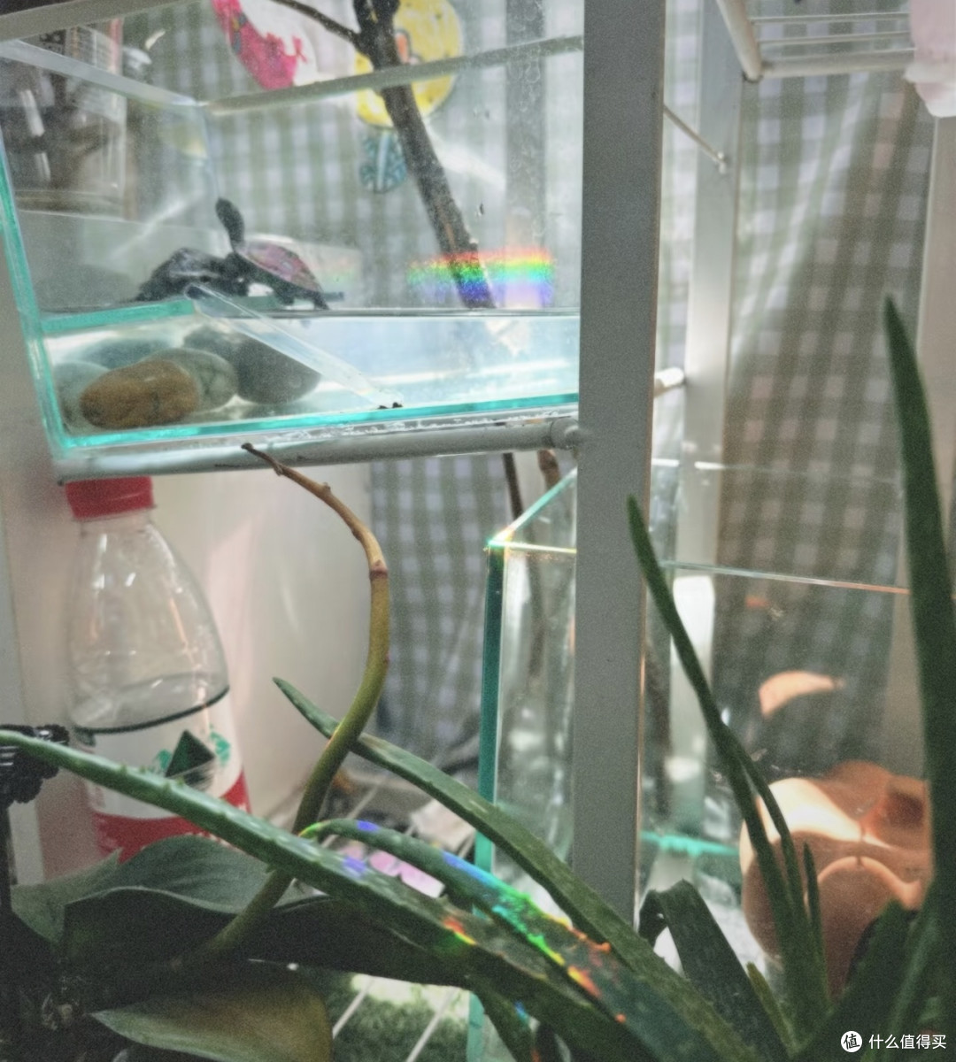 FiNO35滤镜下的日常美好