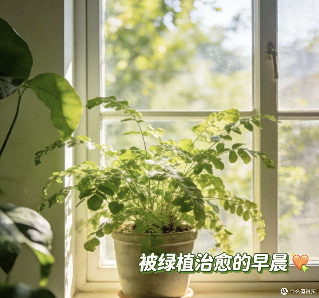 救命!新手拍日常全靠神仙相机app✨