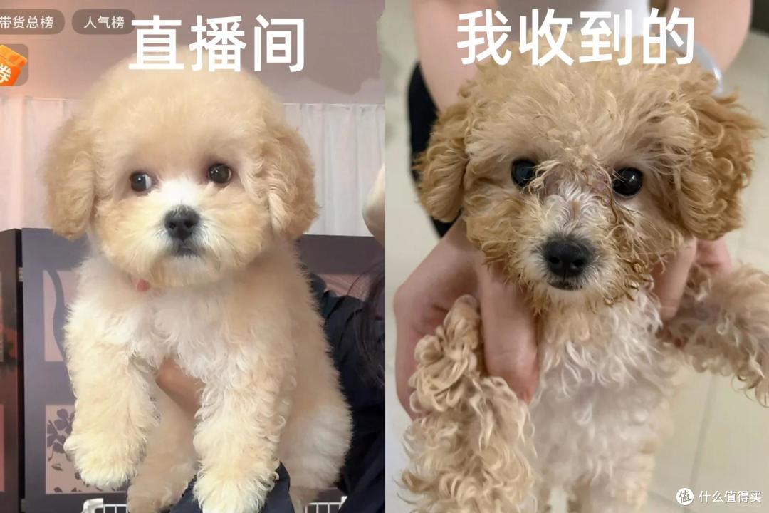 千万别在网上买“这5样”东西,水太深了,真的坑得你怀疑人生!