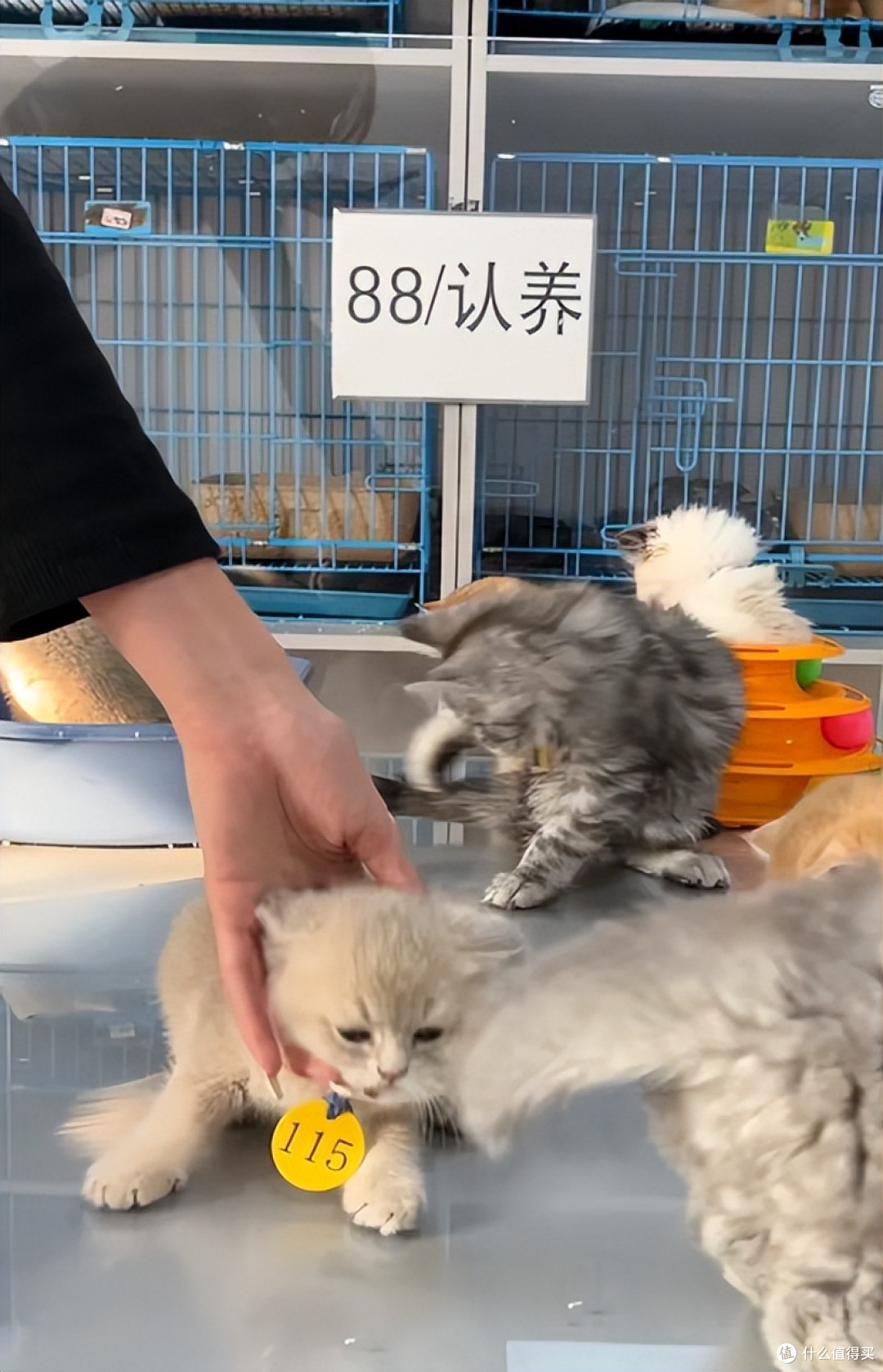 千万别在网上买“这5样”东西,水太深了,真的坑得你怀疑人生!