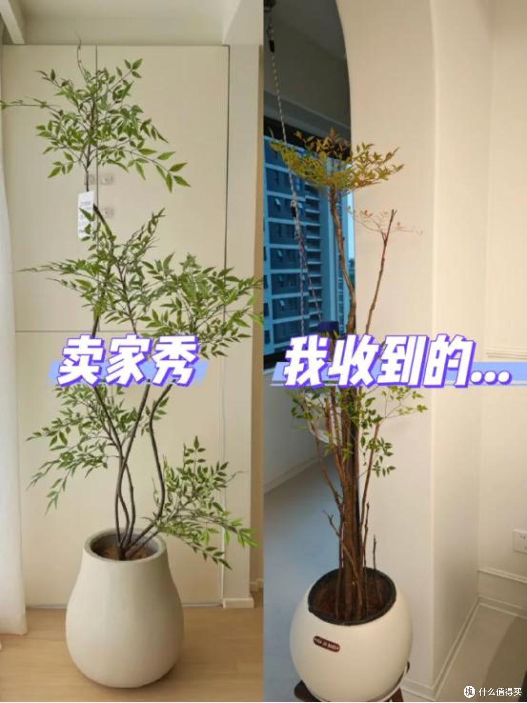 千万别在网上买“这5样”东西,水太深了,真的坑得你怀疑人生!
