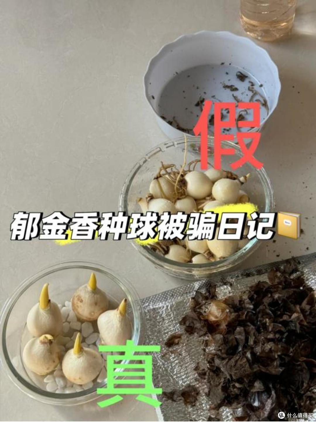 千万别在网上买“这5样”东西,水太深了,真的坑得你怀疑人生!