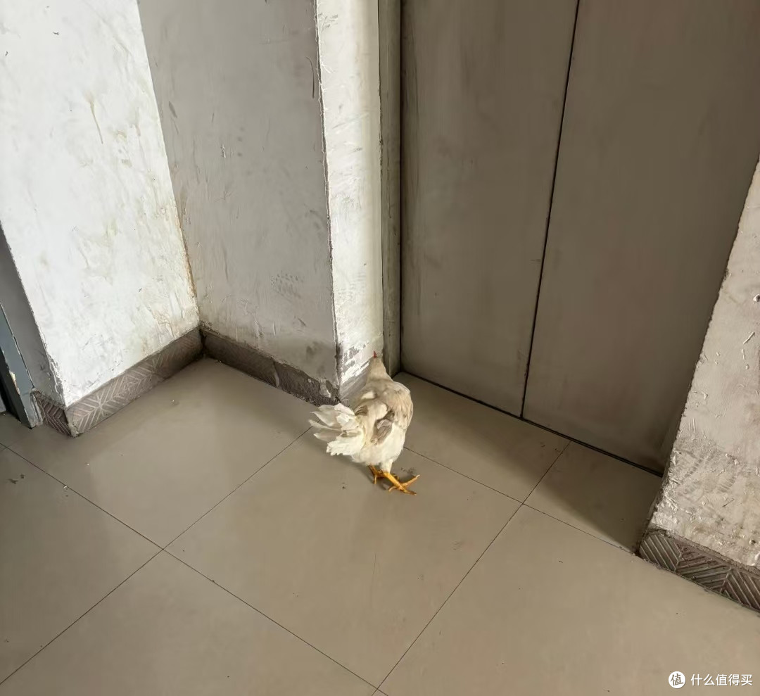 安置房再便宜也别买!不好住、难转手、不升值,谁买谁后悔!
