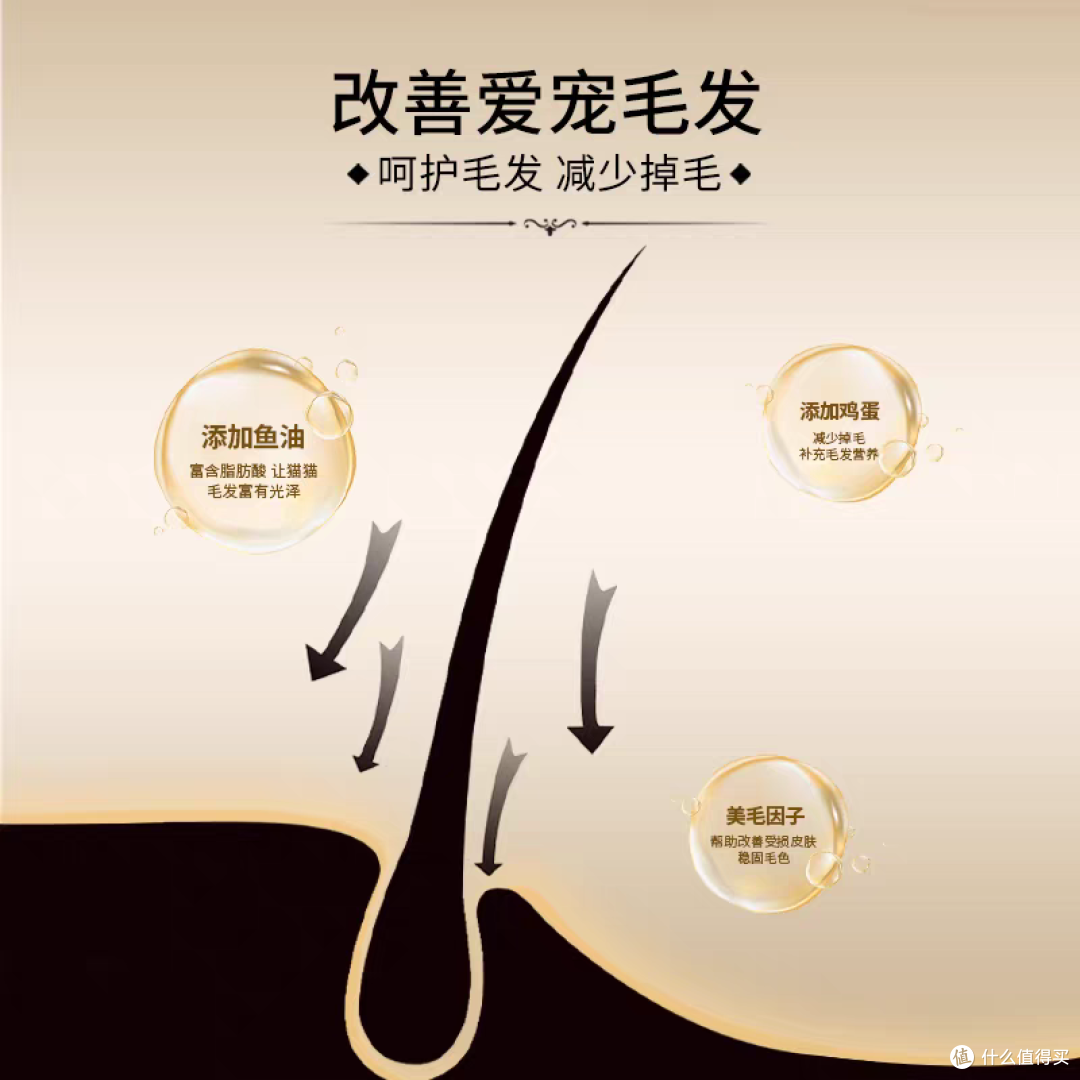 猫粮哪个牌子好又安全又有营养?十大口碑最好的猫粮排行榜