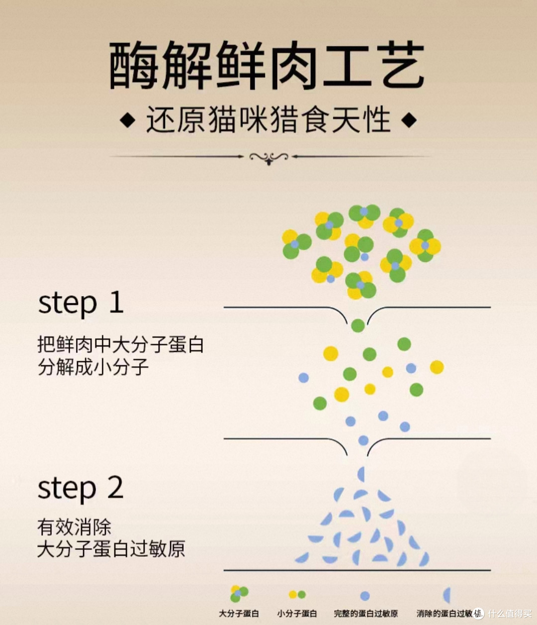 猫粮哪个牌子好又安全又有营养?十大口碑最好的猫粮排行榜