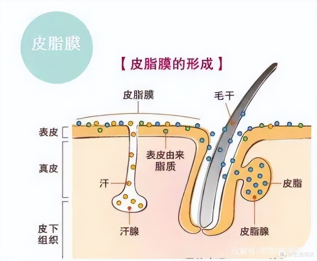 秋冬“肌肤大考”,身体“下雪”了怎么办?