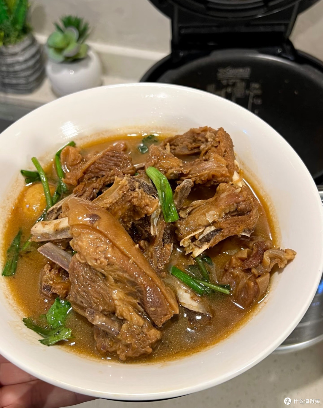 被老广配方征服!电饭煲炖羊腩,从此告别羊肉膻味
