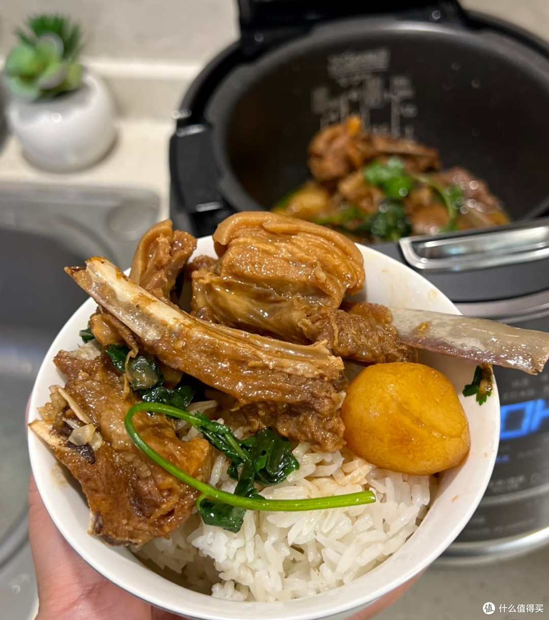 被老广配方征服!电饭煲炖羊腩,从此告别羊肉膻味