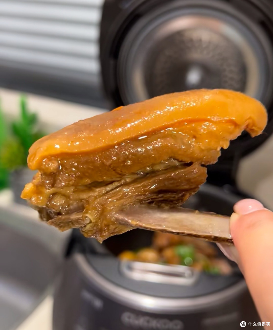 被老广配方征服!电饭煲炖羊腩,从此告别羊肉膻味