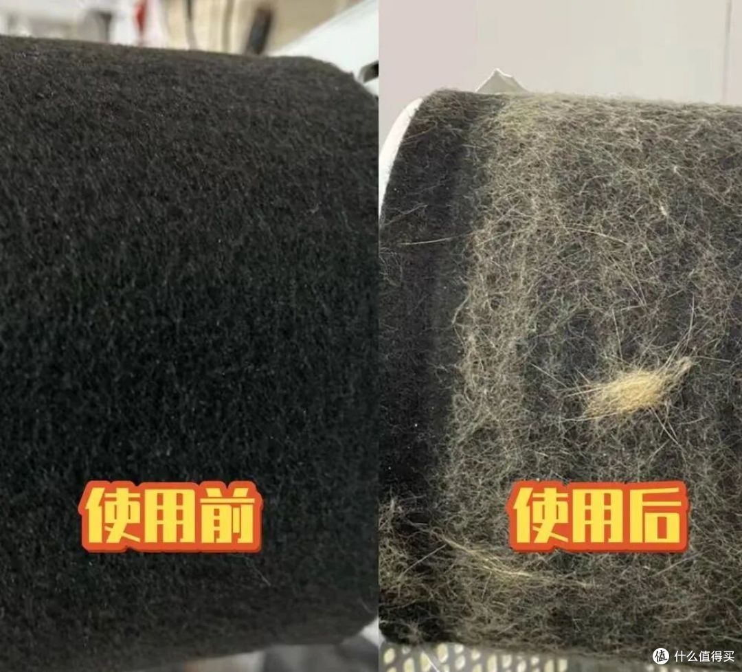 破解冬日养宠空气困局:如何打破“细菌培养皿”,守护全家呼吸?