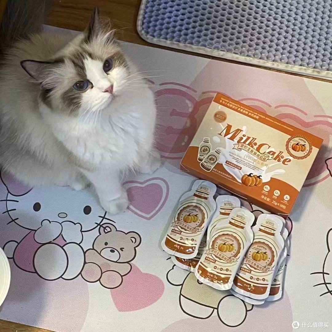 养宠家庭封神!妮吖奶糕承包我家猫从幼到成的快乐✨