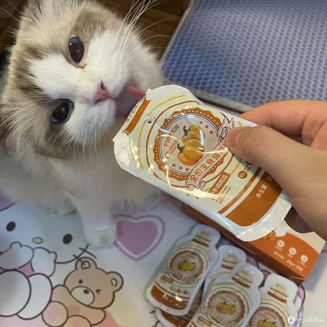 养宠家庭封神!妮吖奶糕承包我家猫从幼到成的快乐✨