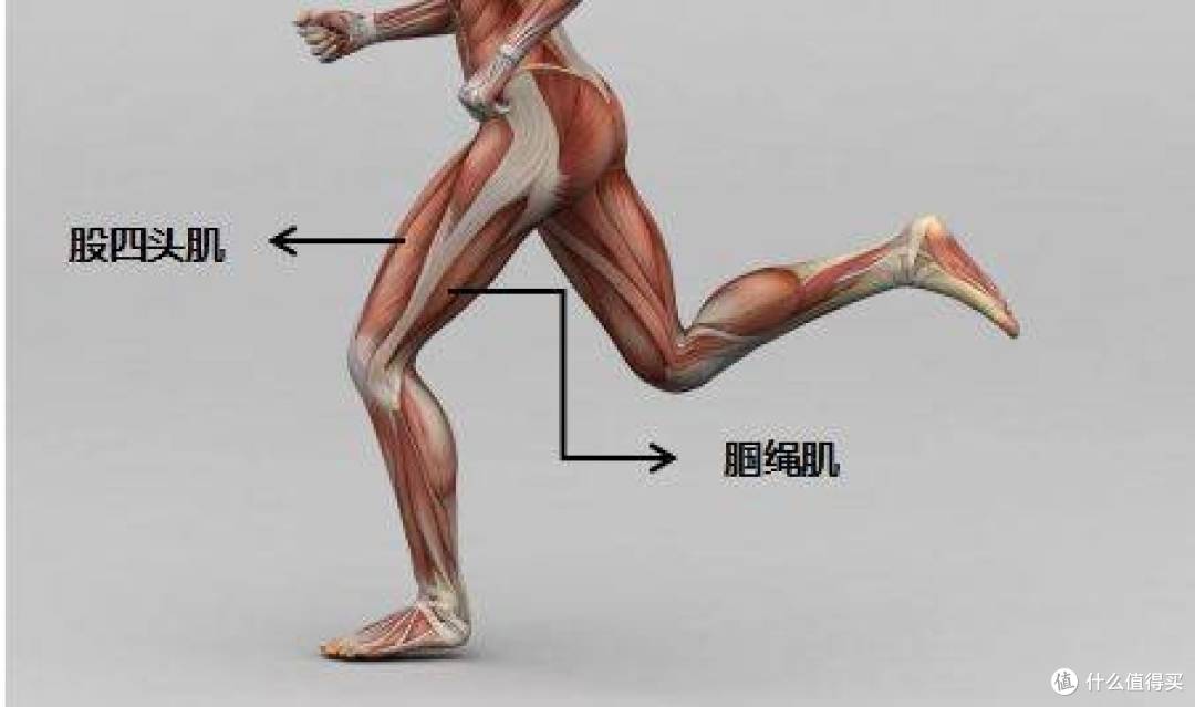 运动后膝盖痛?康复师说你可能错过最关键一步