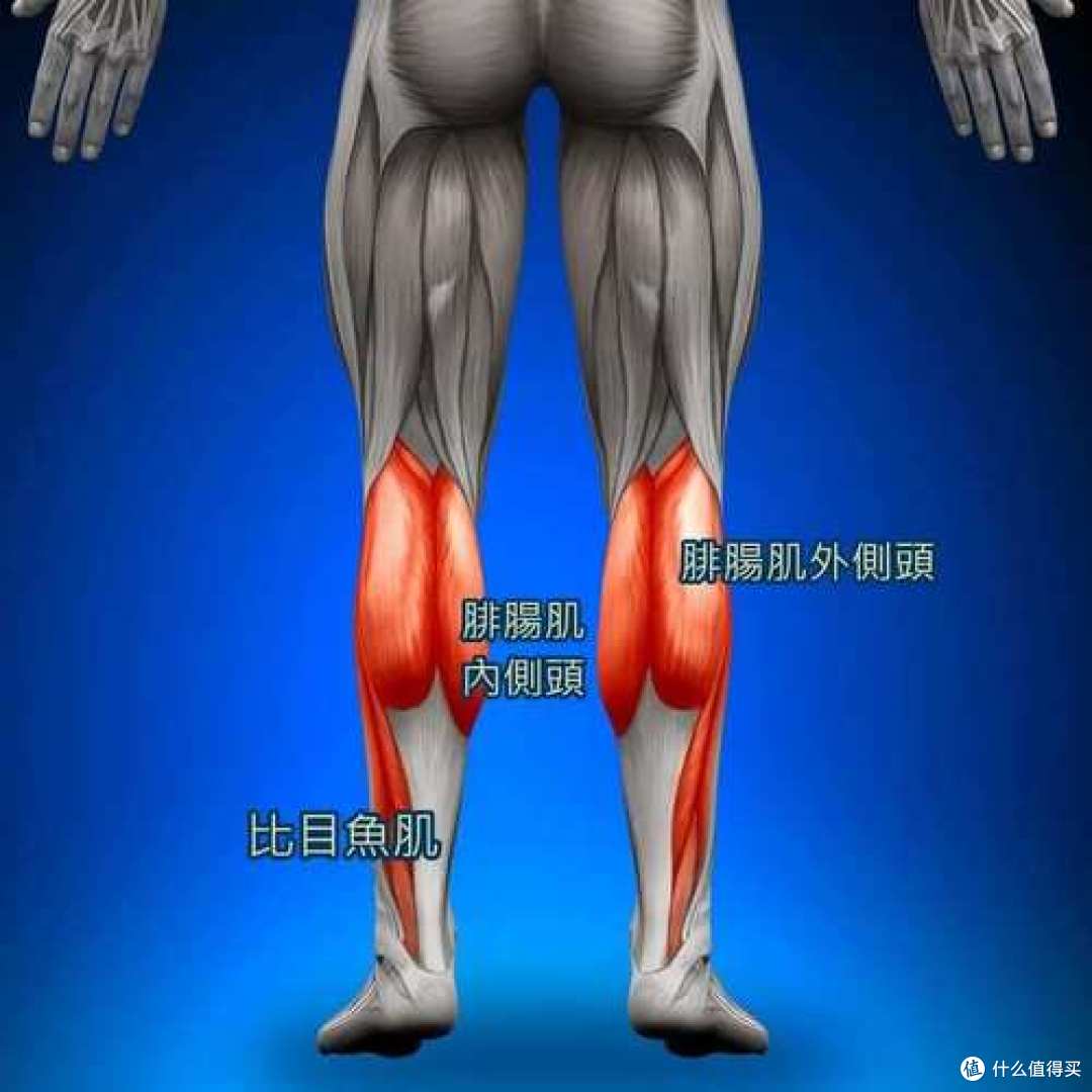 运动后膝盖痛?康复师说你可能错过最关键一步