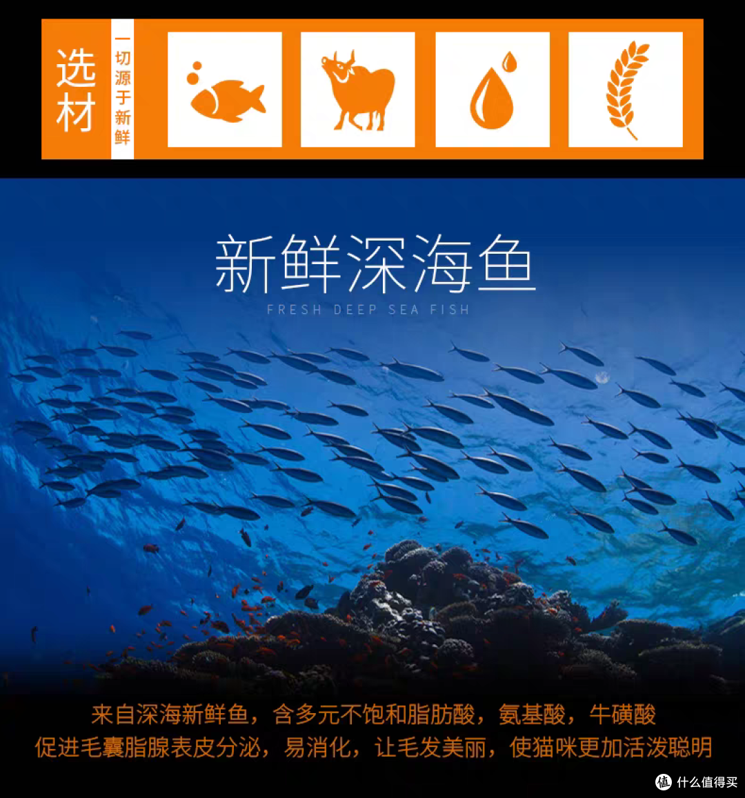 哪种猫粮最好最有营养?国产十大放心猫粮推荐