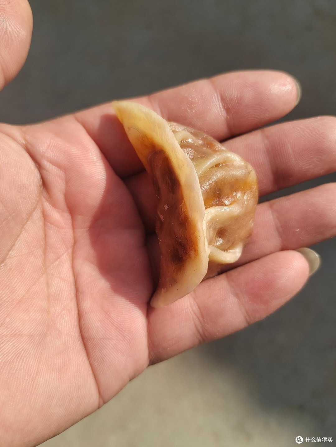 文玩圈太卷了!万物皆可盘的小众爱好,笑不活了!