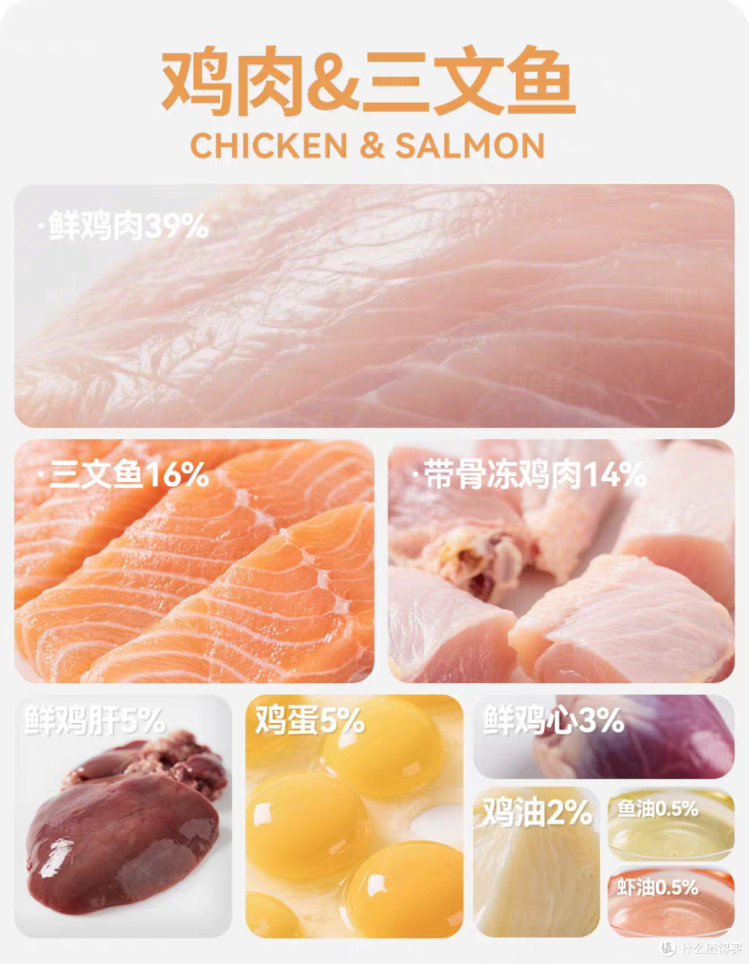 什么猫粮品牌比较好?实测2025年十款好口碑猫粮品牌