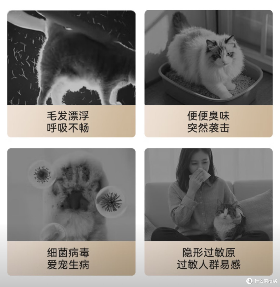京造品质米家智能强强联合性价比无敌!京造宠物空气净化器首晒!