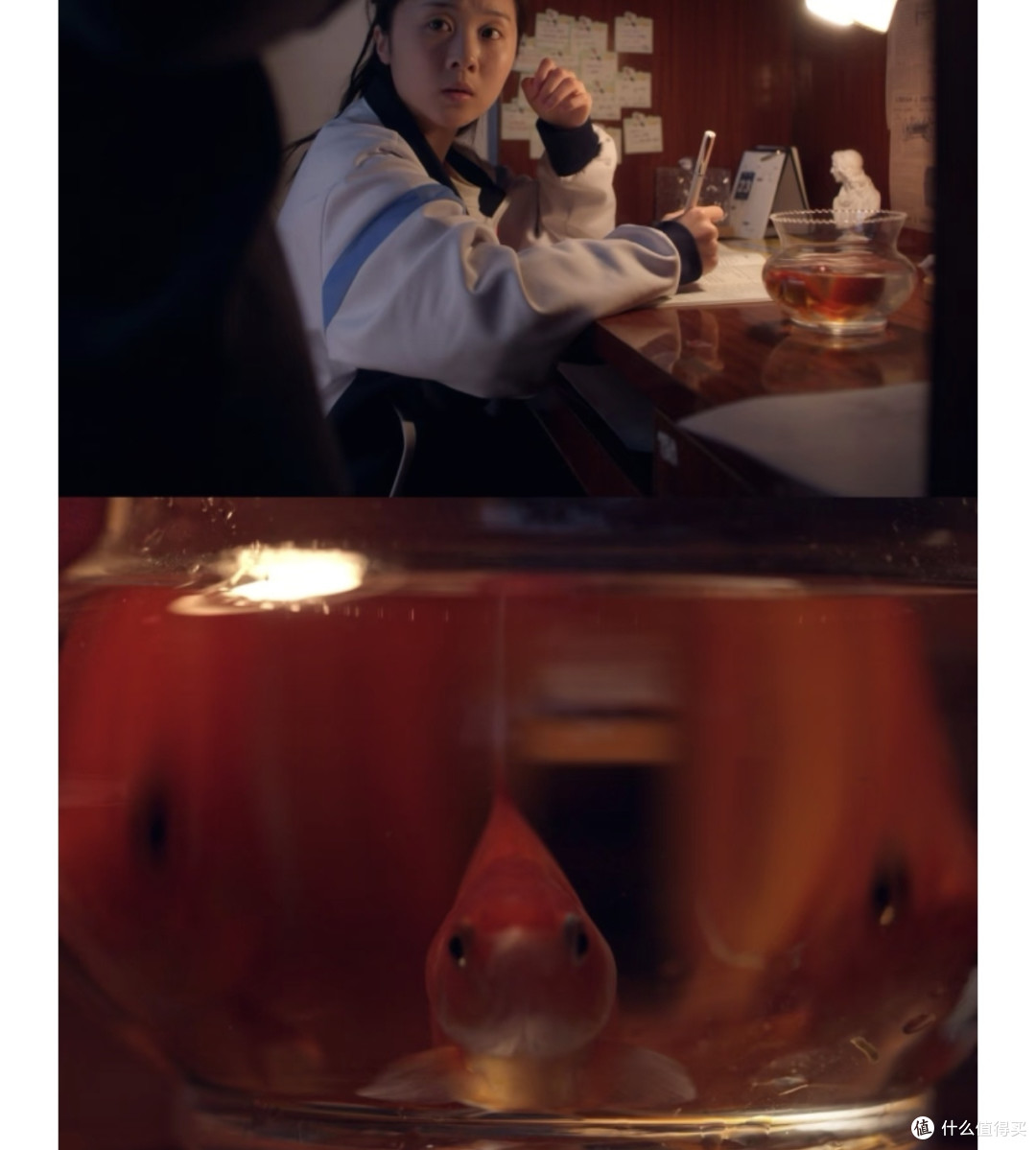《洄游》:母女情的温暖记录