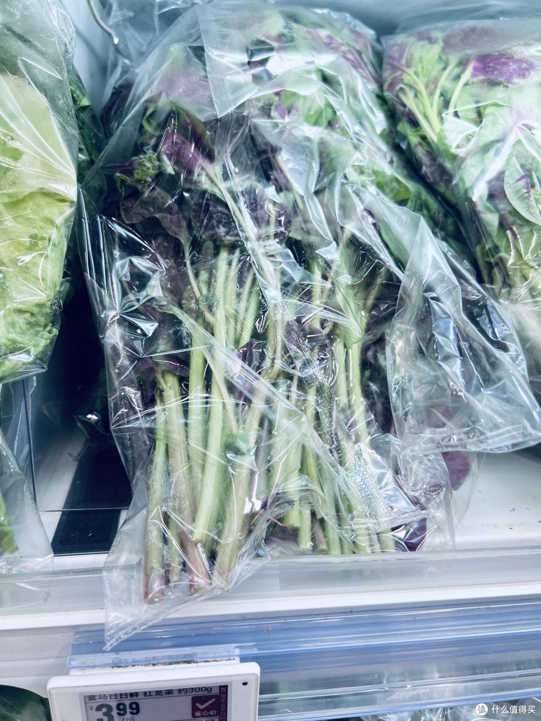 火锅里的清鲜滋味:这些素菜才是汤底的灵魂