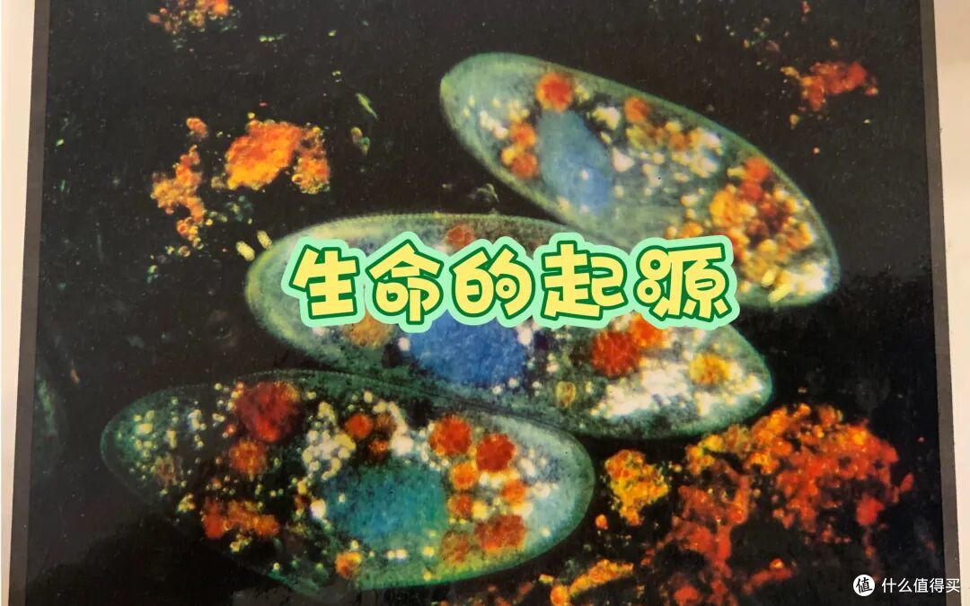 活到现在的人,真能一路追溯到单细胞时代?
