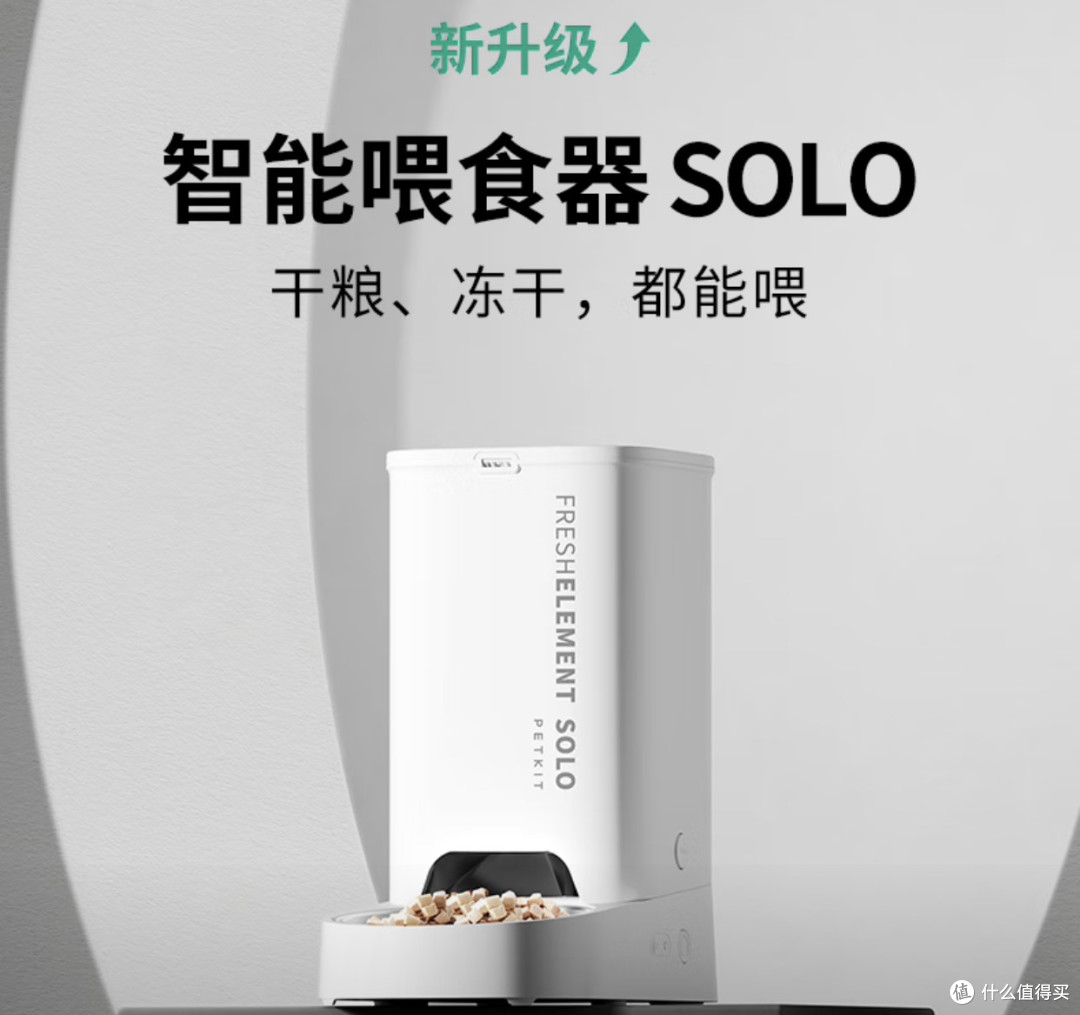 不到150解放双手:小佩智能喂食器,老猫奴的出门都安心了
