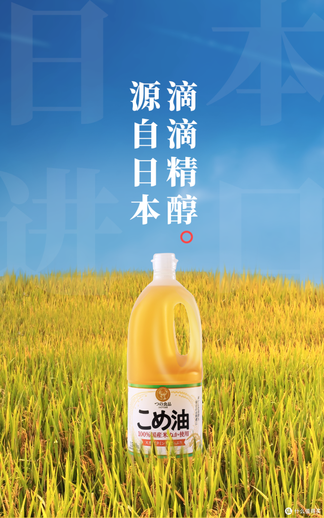 日本主妇的厨房机密！筑野米糠油实测：凭什么比橄榄油贵还抢空？